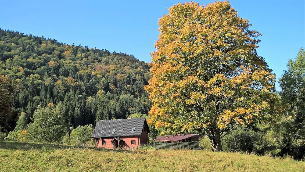 Krolikowka Stronie Śląskie Exteriör bild
