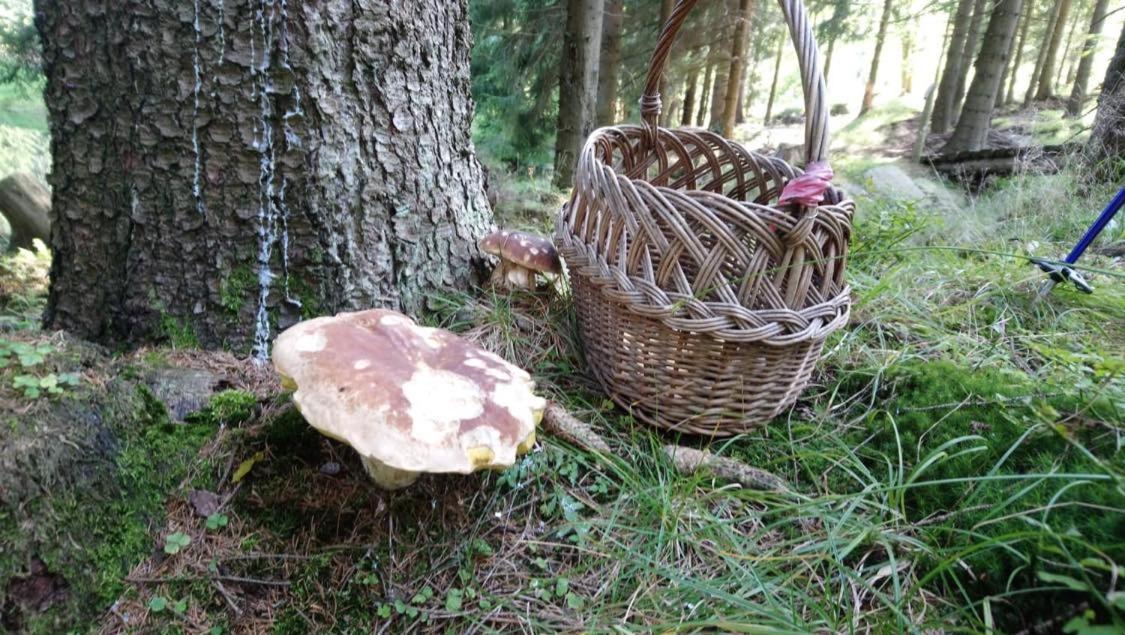 Krolikowka Stronie Śląskie Exteriör bild