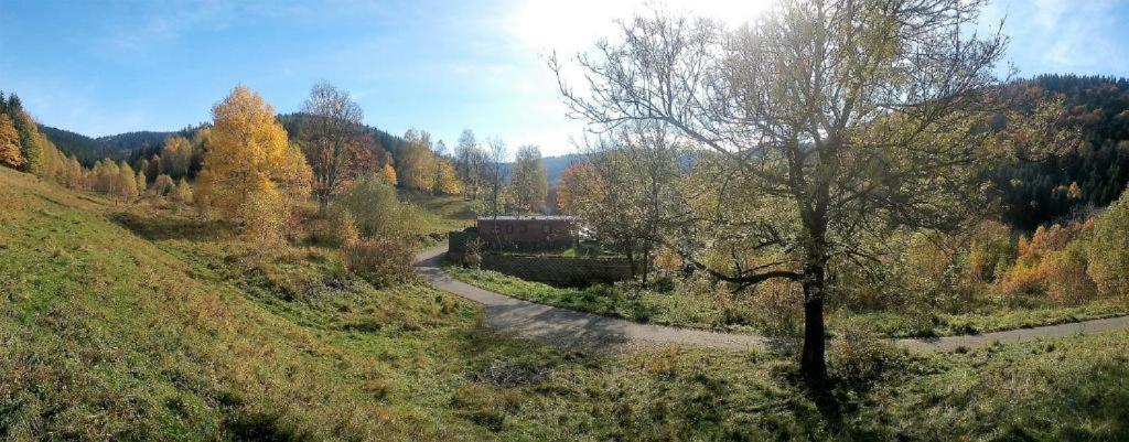 Krolikowka Stronie Śląskie Rum bild